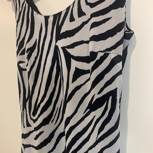 Beechers Brook Black & White Zebra Print Midi Dress - Picture 4 of 5